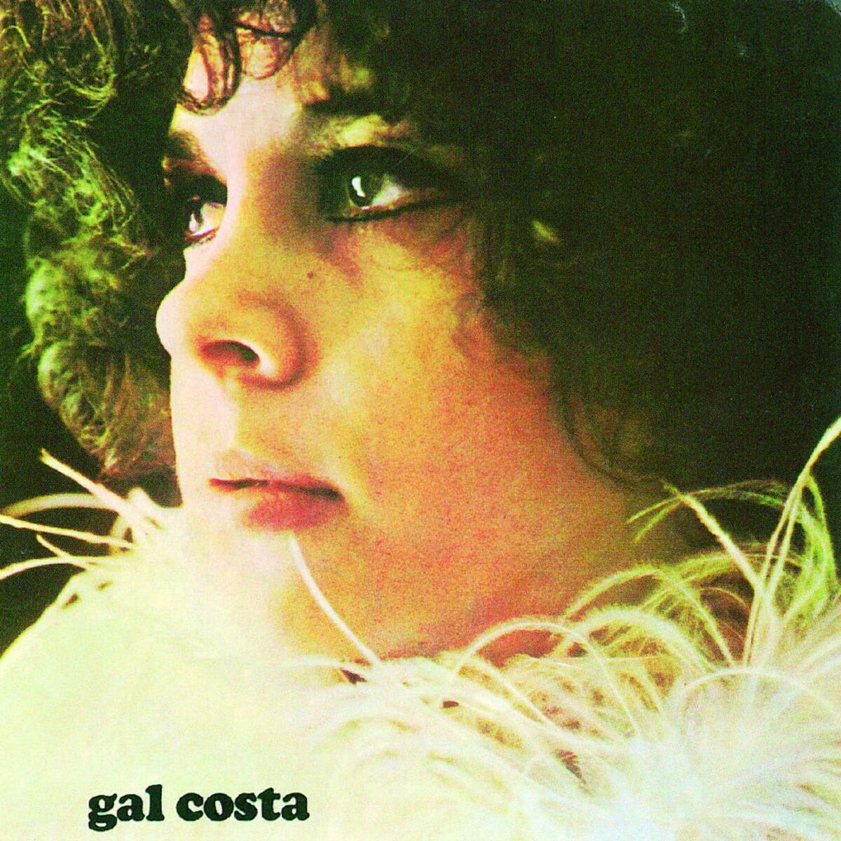 gal costa